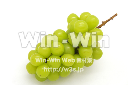 マスカットの写真素材 W-020445