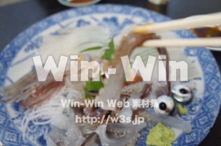 いかの活き造りの写真素材 W-021525