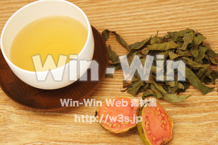 グァバ茶葉の写真素材 W-021141