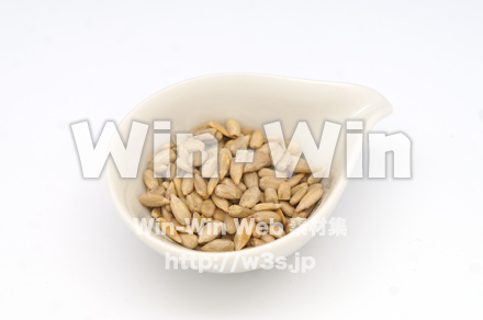 ひまわりの種の写真素材 W-021835