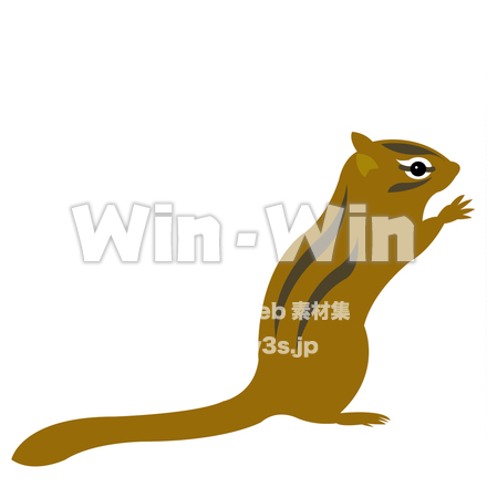 リスのCG・イラスト素材 W-020091
