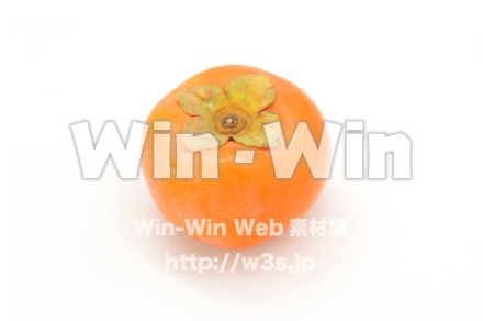 柿の写真素材 W-020437