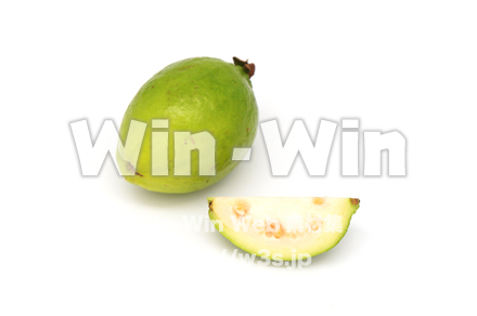 沖縄産グァバの写真素材 W-021119