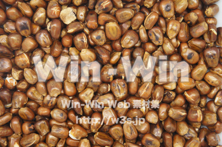 炒りとうもろこし03の写真素材 W-020487