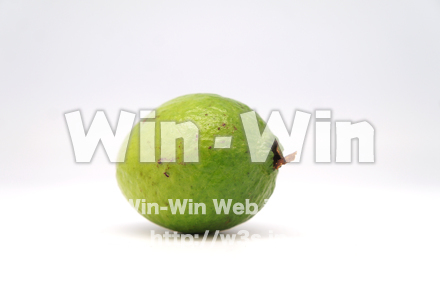 沖縄産グァバの写真素材 W-021112