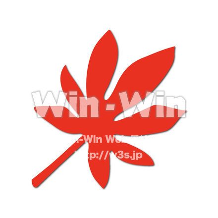 カエデの葉のCG・イラスト素材 W-023036