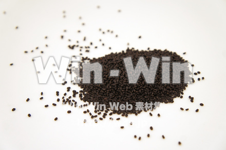 バジルシードの写真素材 W-022081