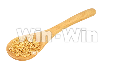 玄米スプーンの写真素材 W-022088