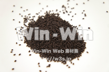 バジルシードの写真素材 W-022082