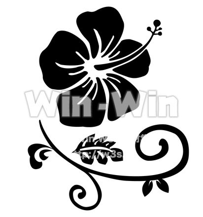 ハイビスカスのシルエット素材 W-022832