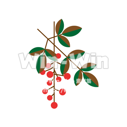 南天のCG・イラスト素材 W-023914