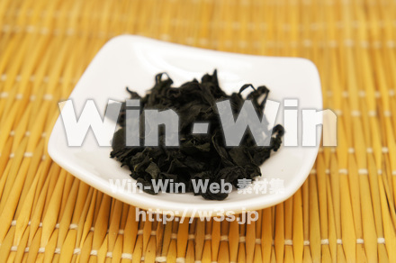 ワカメの写真素材 W-022265