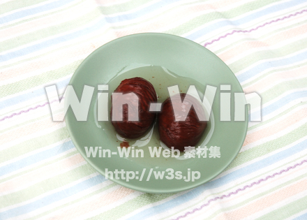 栗の渋皮煮の写真素材 W-023113