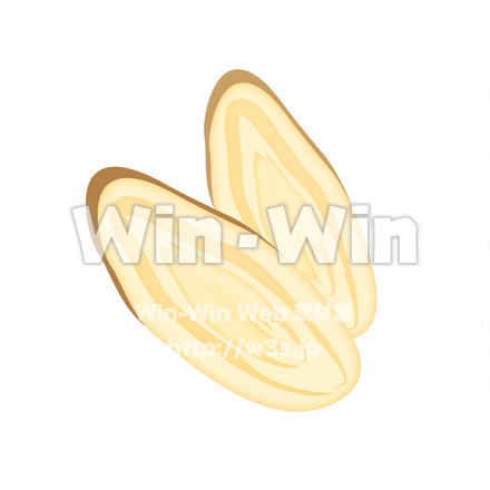 牛蒡の断面のCG・イラスト素材 W-022017