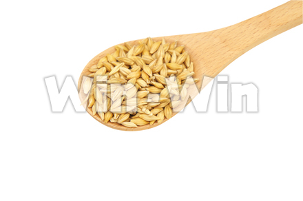 大麦スプーンの写真素材 W-022091