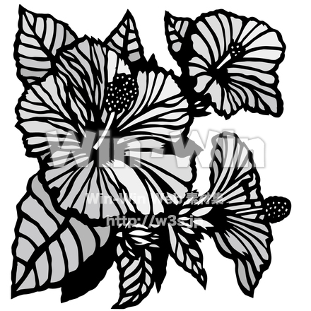 ハイビスカスのシルエット素材 W-023433