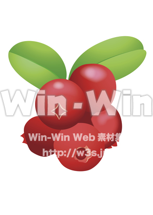 リンゴンベリーのCG・イラスト素材 W-022101