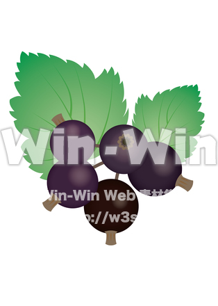 カシスのCG・イラスト素材 W-022102