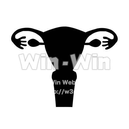 子宮と卵巣のシルエット素材 W-023123