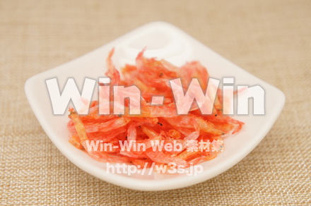 桜えびの写真素材 W-022203