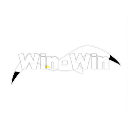 かもめのCG・イラスト素材 W-022335