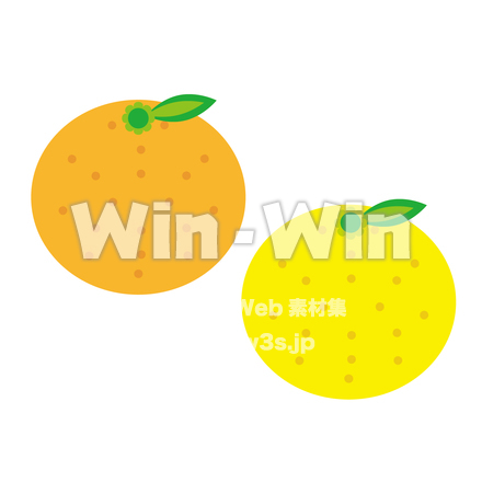みかんのCG・イラスト素材 W-023393