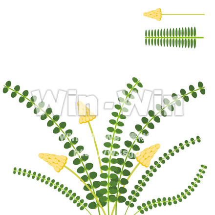 キャンドルブッシュのCG・イラスト素材 W-022570
