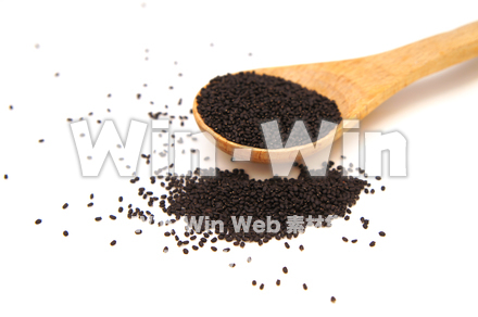 バジルシードの写真素材 W-022080