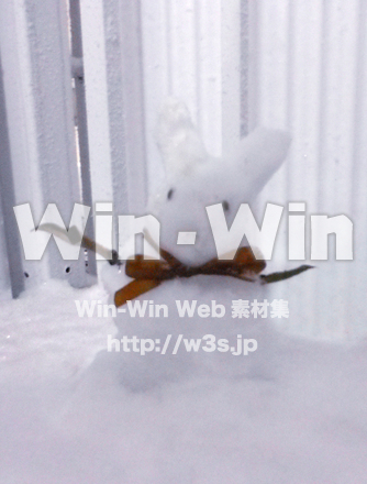 ゆきうさぎの写真素材 W-022972