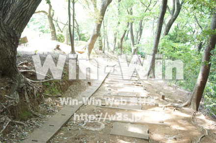 山道の写真素材 W-022087