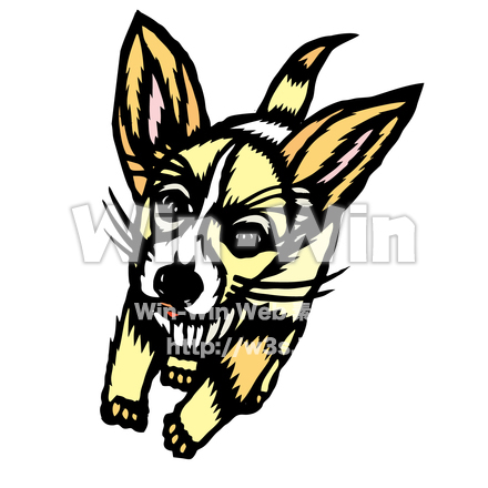 走る犬のCG・イラスト素材 W-023631