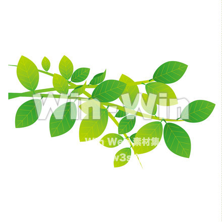 はっぱのCG・イラスト素材 W-022870