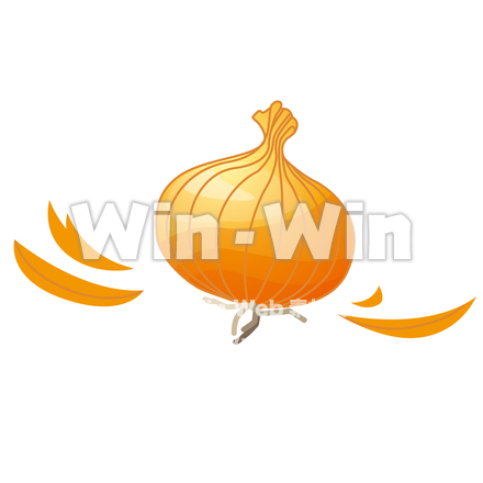 玉葱皮のCG・イラスト素材 W-022018