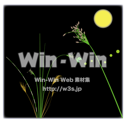 フトイの夜のCG・イラスト素材 W-023045