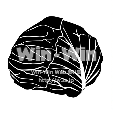 キャベツのシルエット素材 W-022771