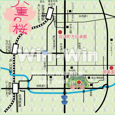 八重の桜のCG・イラスト素材 W-022162