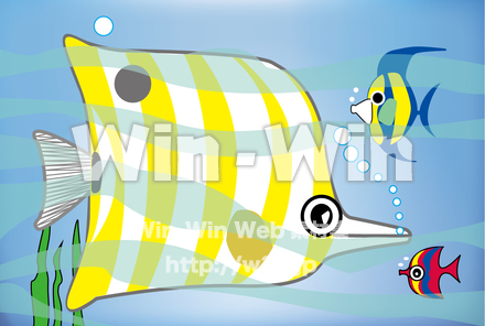 熱帯魚のCG・イラスト素材 W-022377