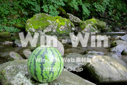 スイカの写真素材 W-023822