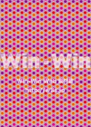 亀甲模様のCG・イラスト素材 W-023116