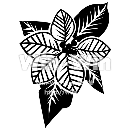 ポインセチアのシルエット素材 W-023352