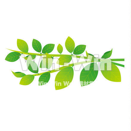 はっぱのCG・イラスト素材 W-022869