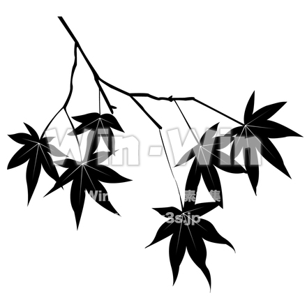 紅葉のシルエット素材 W-023983