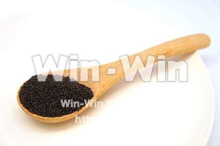 バジルシードの写真素材 W-022079