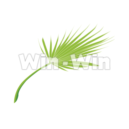 ノコギリヤシのCG・イラスト素材 W-022012