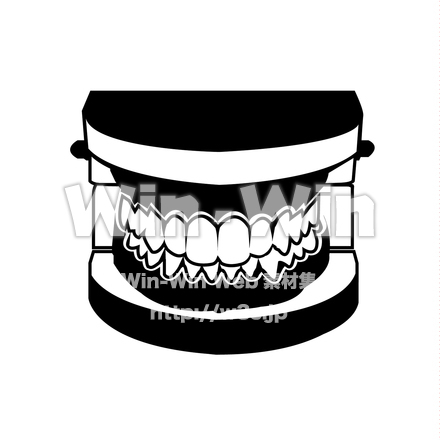 歯列模型のシルエット素材 W-023258
