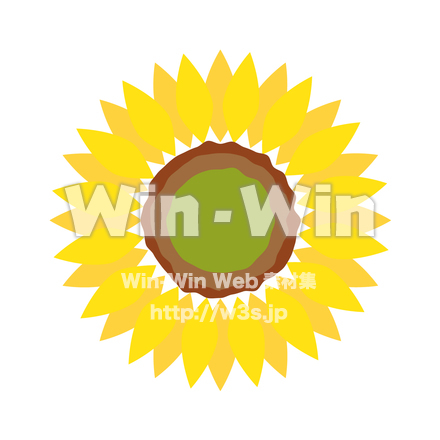 ヒマワリのCG・イラスト素材 W-025570