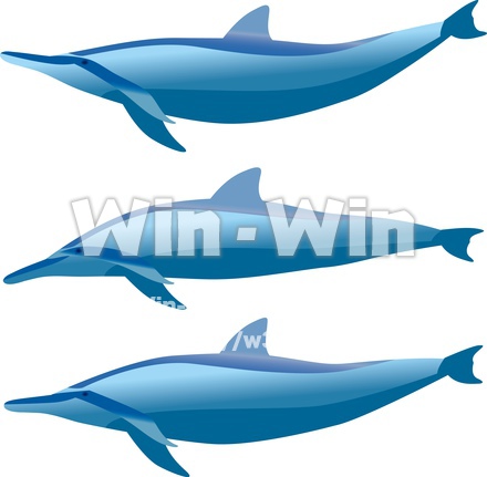 イルカのCG・イラスト素材 W-024954