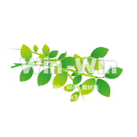 はっぱのCG・イラスト素材 W-025849