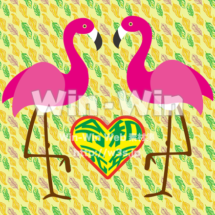 フラミンゴのCG・イラスト素材 W-025477