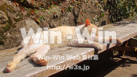 ひなたぼっこの写真素材 W-024103